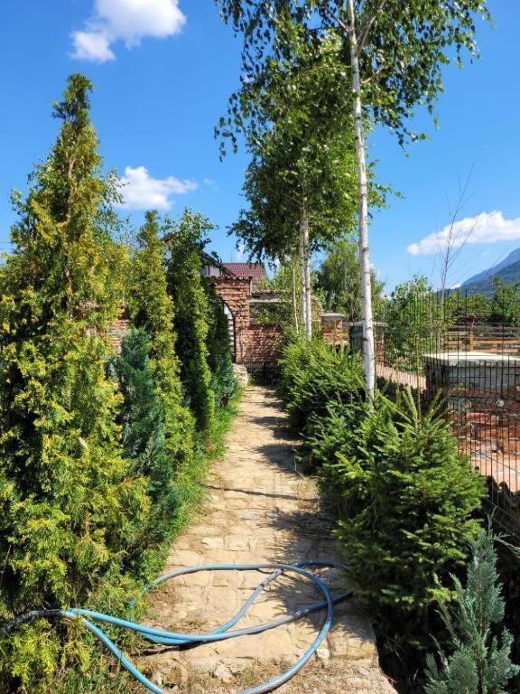 Casa Cu Mesteceni Rîşnov Exterior foto